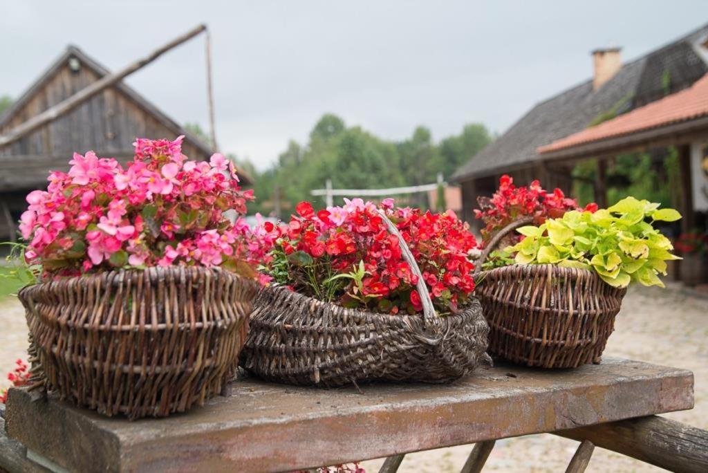 Gosciniec Folwark Nadawki Bed & Breakfast Sienkiewicze Dış mekan fotoğraf